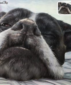 Pet Painting From Photo