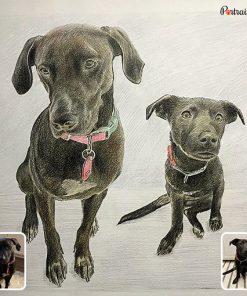 photo to merged pet colored pencil drawing