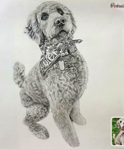 photo to dog pencil drawing