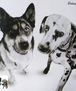 photo to two dogs charcoal drawing