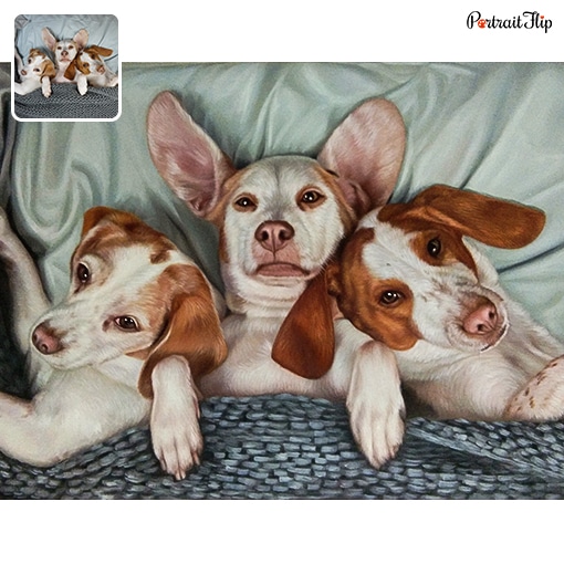 photo to three pet oil painting