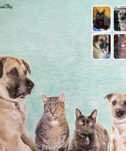 merged pet colored pencil drawing