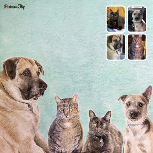 merged pet colored pencil drawing