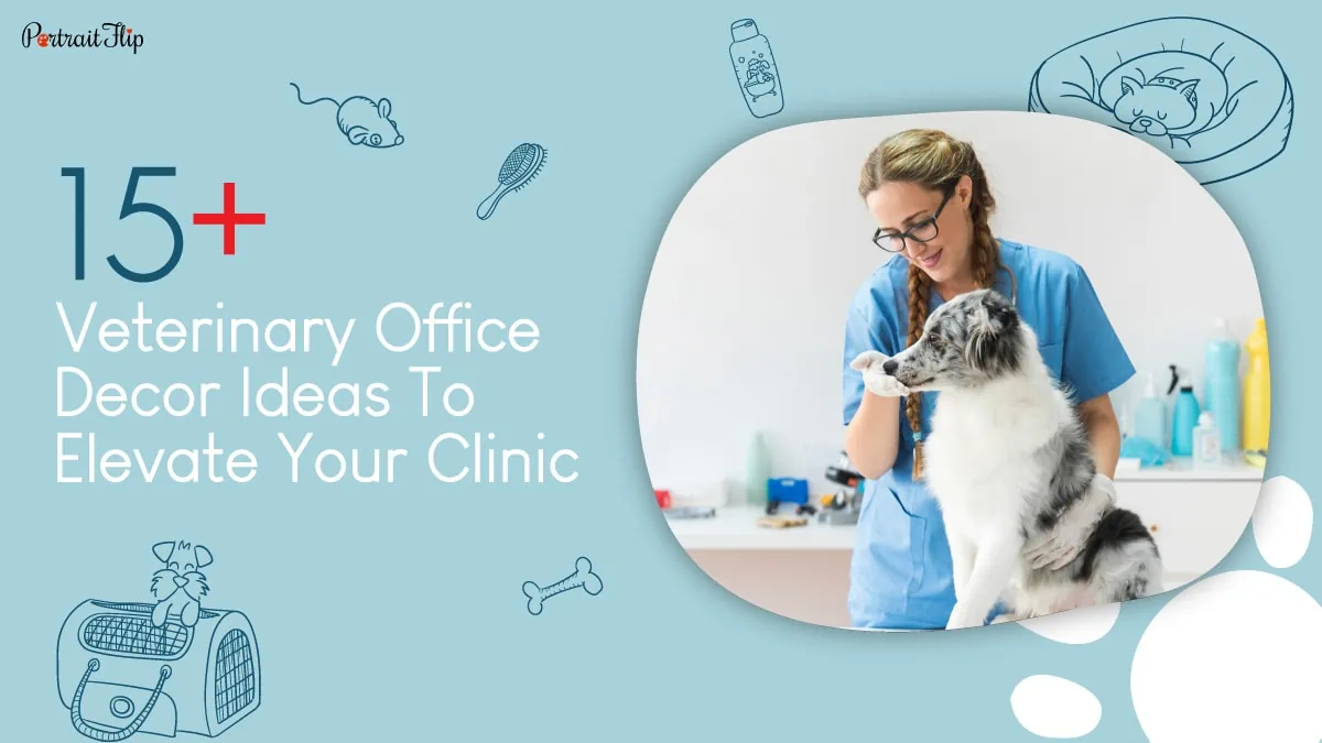 veterinary office decor ideas featured image