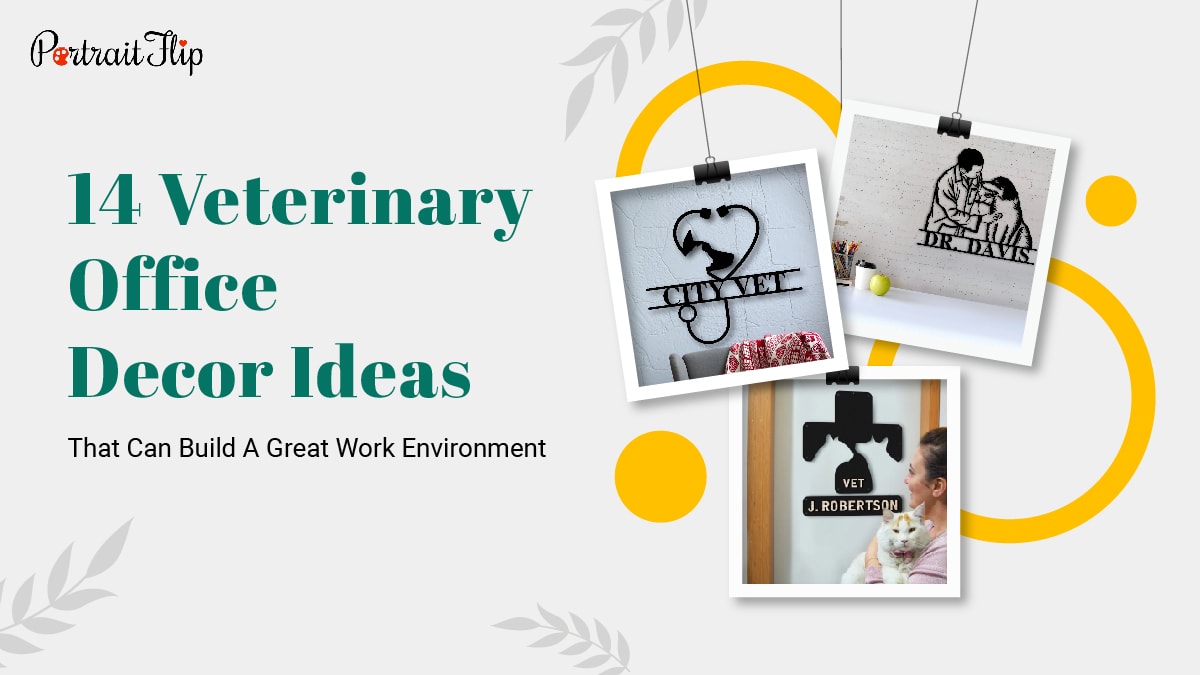 14 Veterinary Office Decor Ideas