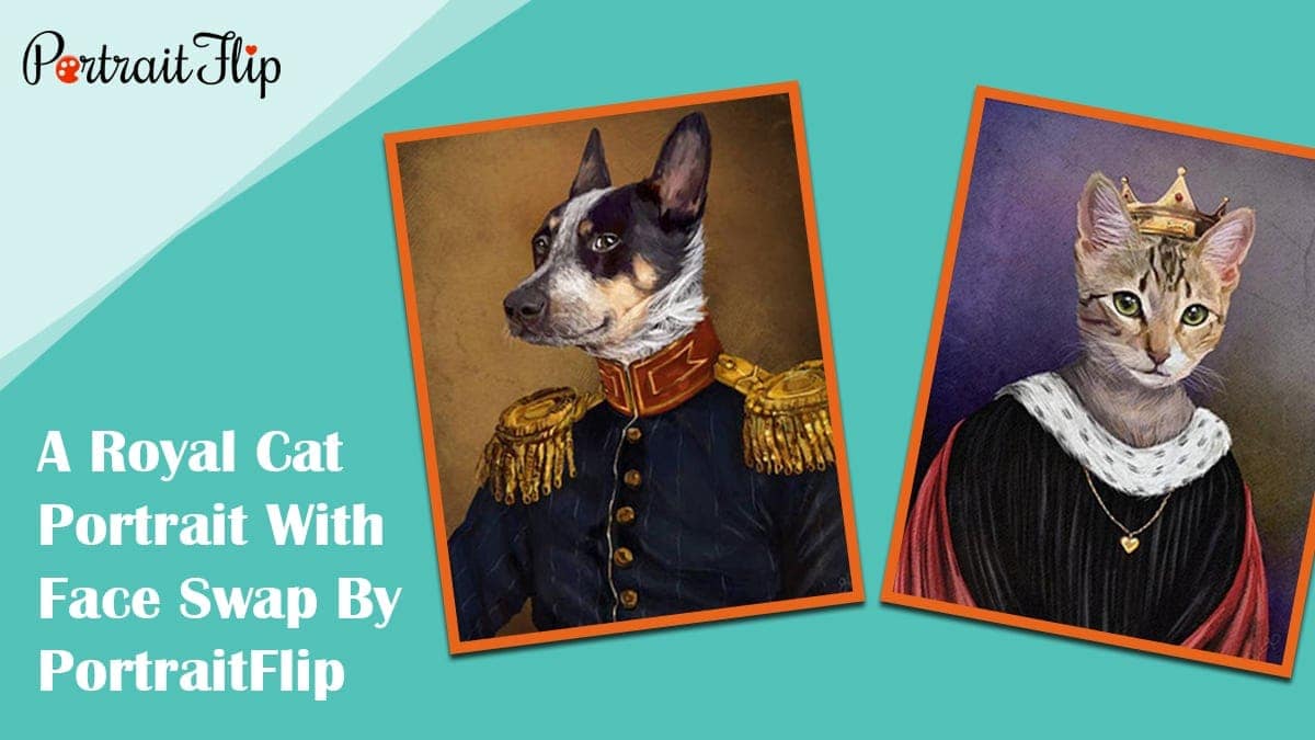A royal cat portrait with face swap by portraitflip