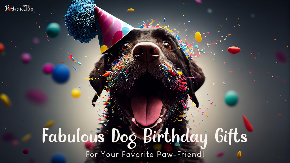45 Fabulous Dog Birthday Gifts for Your Favorite Paw-Friend!