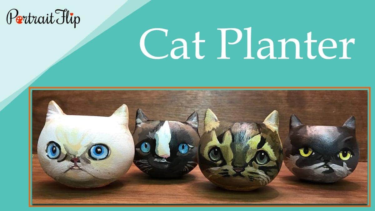 Cat planter