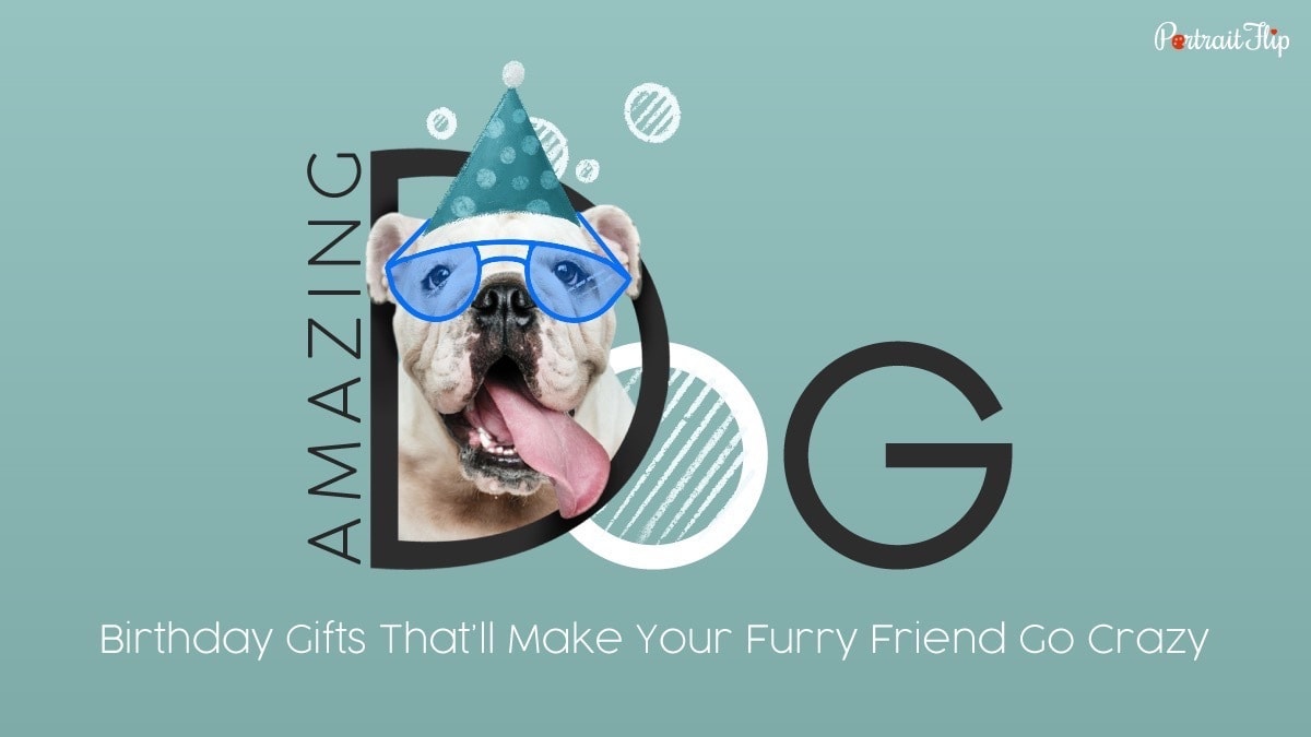 Why Does My Dog Drool around Other Dogs? Discover the Surprising Explanation!
