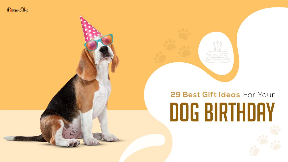 Dog birthday gifts cover photo