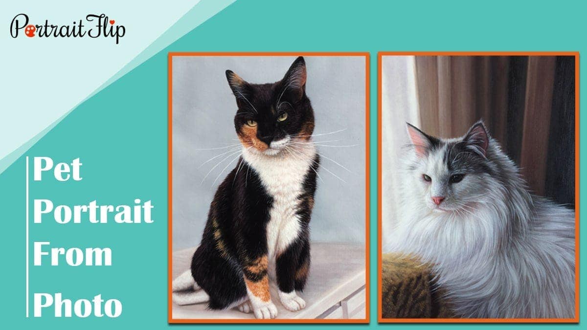 Pet portrait from photo