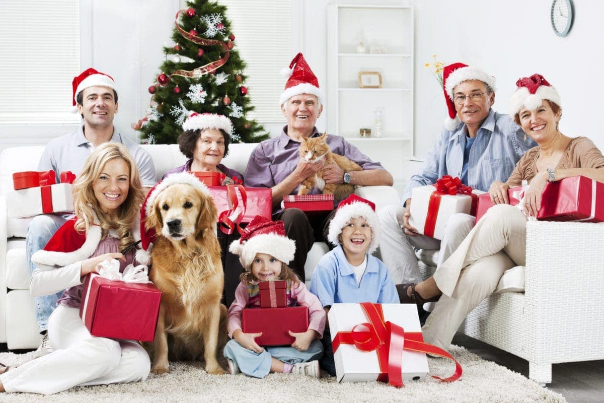 Extended family with their pets celebrating christmas.