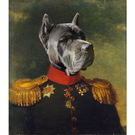 Royal pet portrait