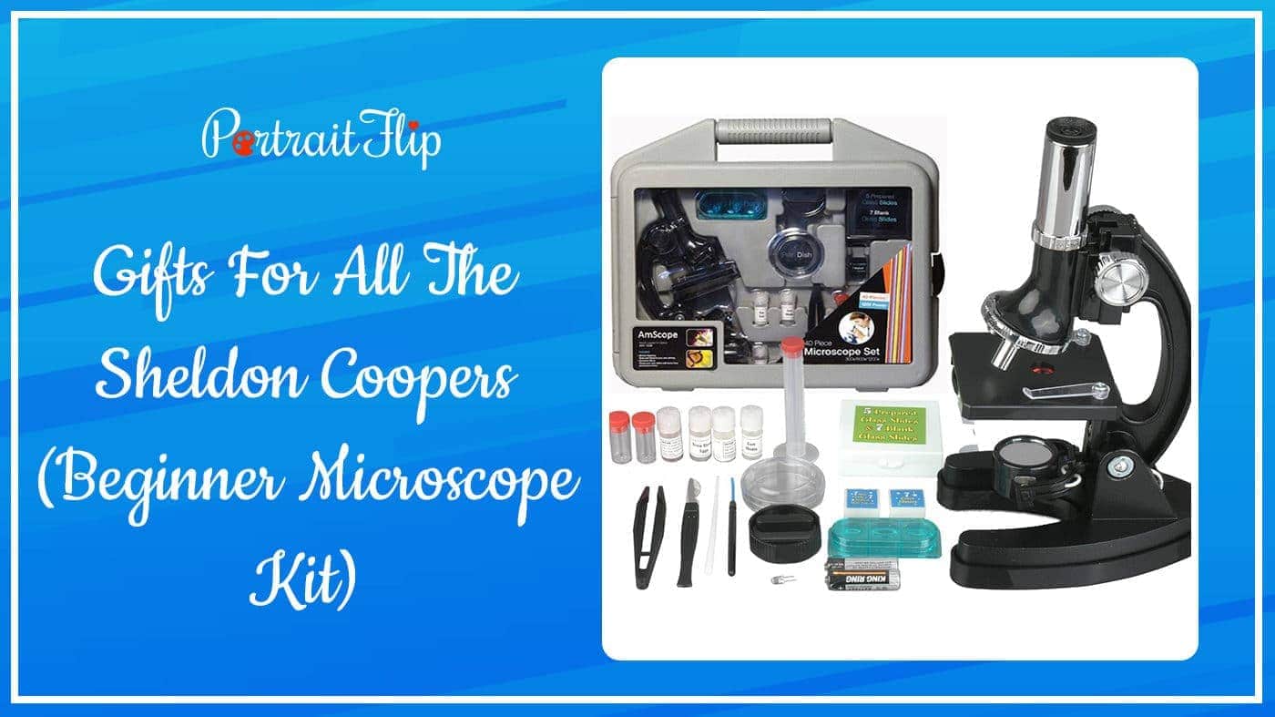 Gifts For All The Sheldon Coopers