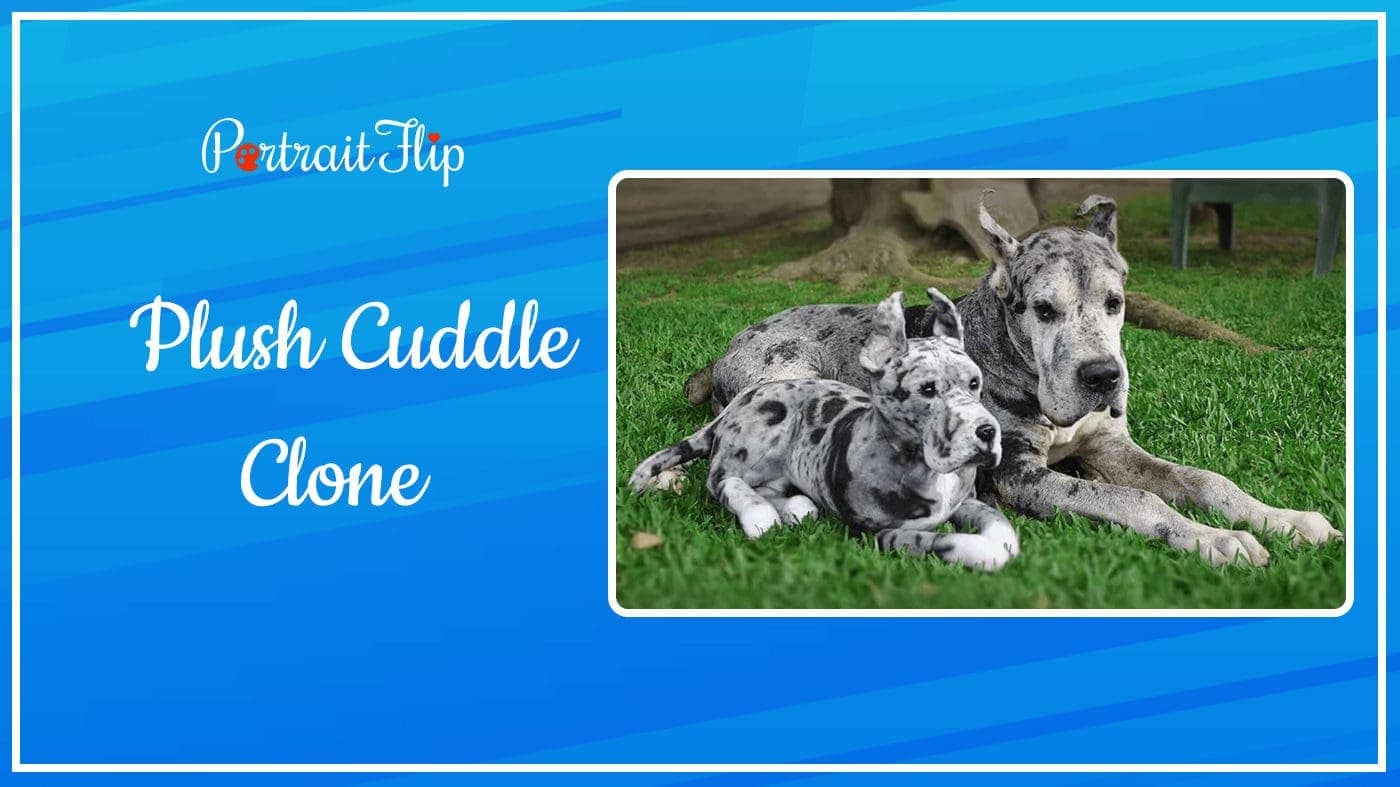 Plush Cuddle Clone