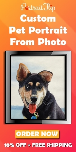 Pet portraits ad