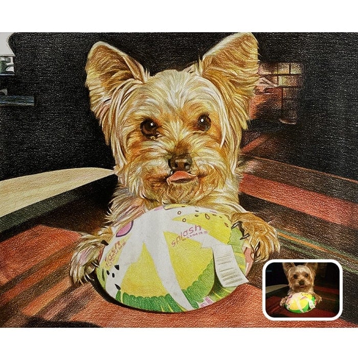 dog colored pencil drawing