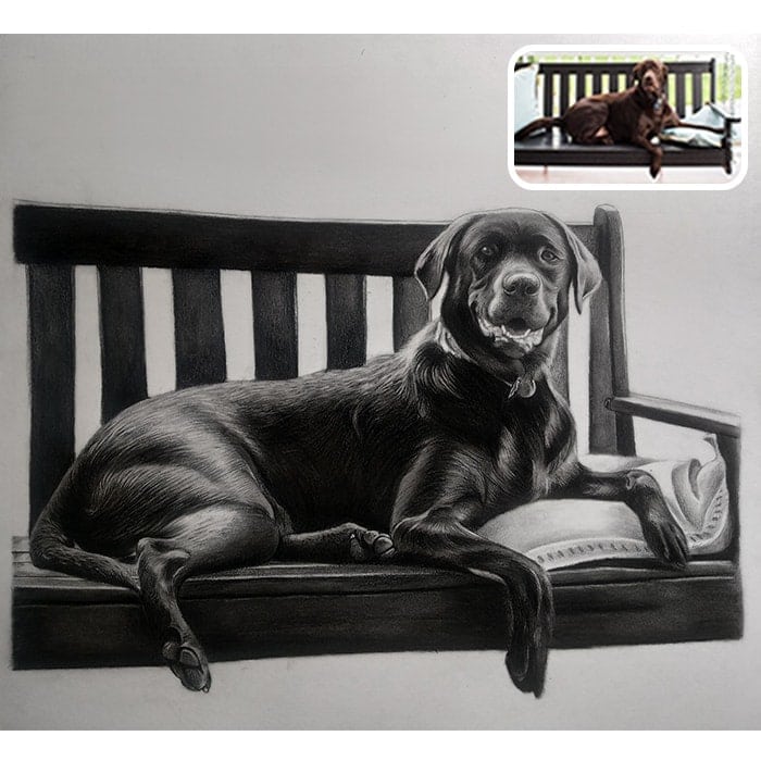 dog charcoal drawing