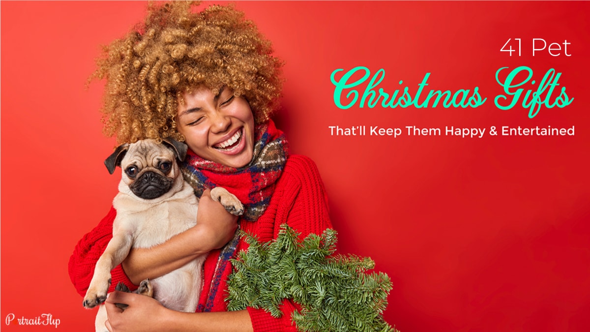 41 Christmas gifts for pets