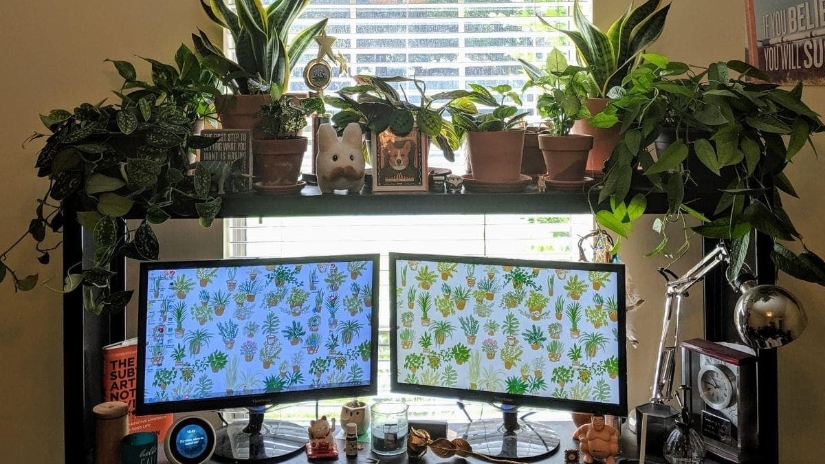 Desktop Plants PortraitFlip Mother's Day Gifts