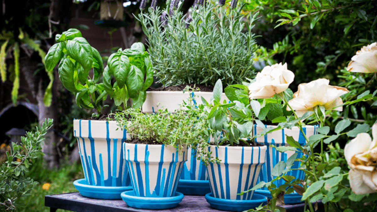 beautifully painted herb pots in a garden.  
