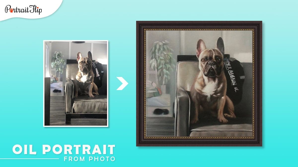 Christmas gifts ideas for him: a photo of a French bulldog sitting on a couch is converted into an oil portrait by artists of portraitflip