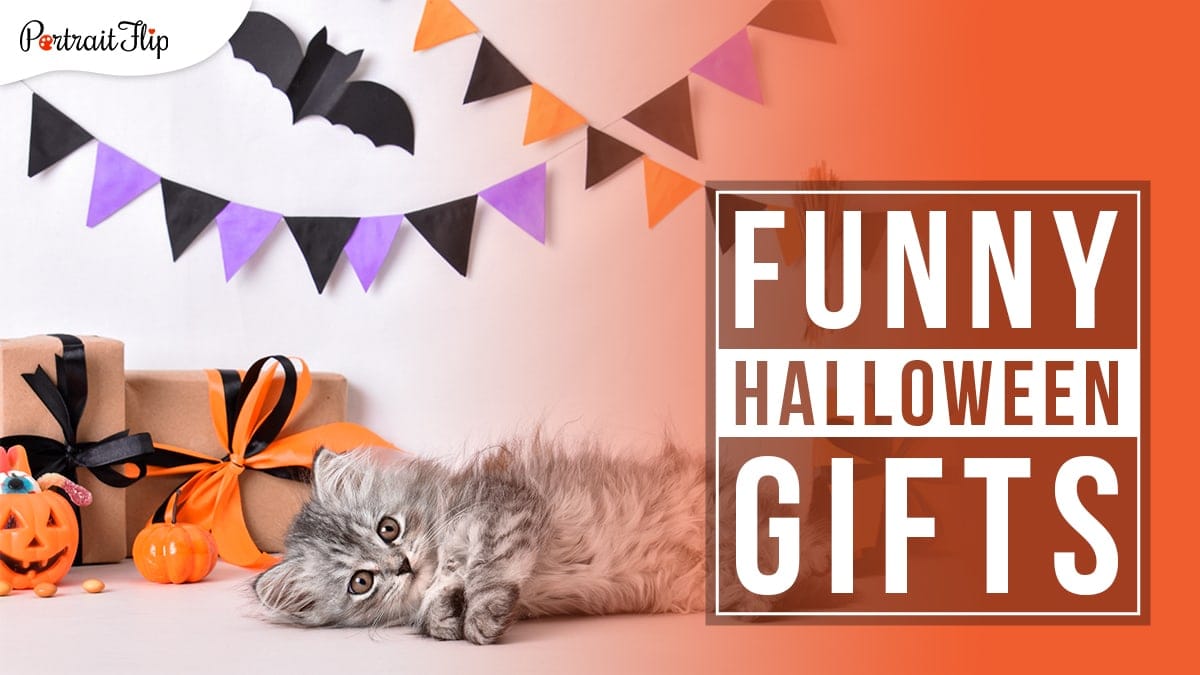 A grey and black kitten lying on a table decorated with a pumpkin and another pumpkin holding candies with gifts wrapped and placed behind the pumpkins. with colorful flag banners on the back wall and a black origami bat stuck on the wall. Funny Halloween Gifts written in a block on the right hand side. 