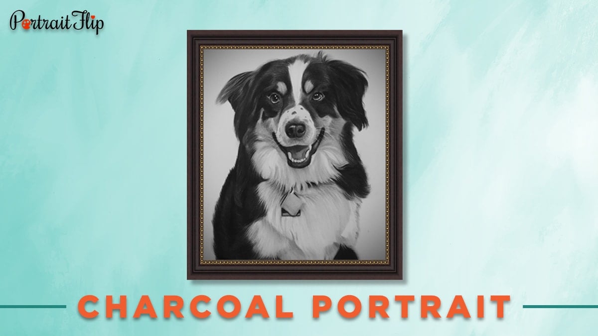 Charcoal portrait of a dog 30 under 30