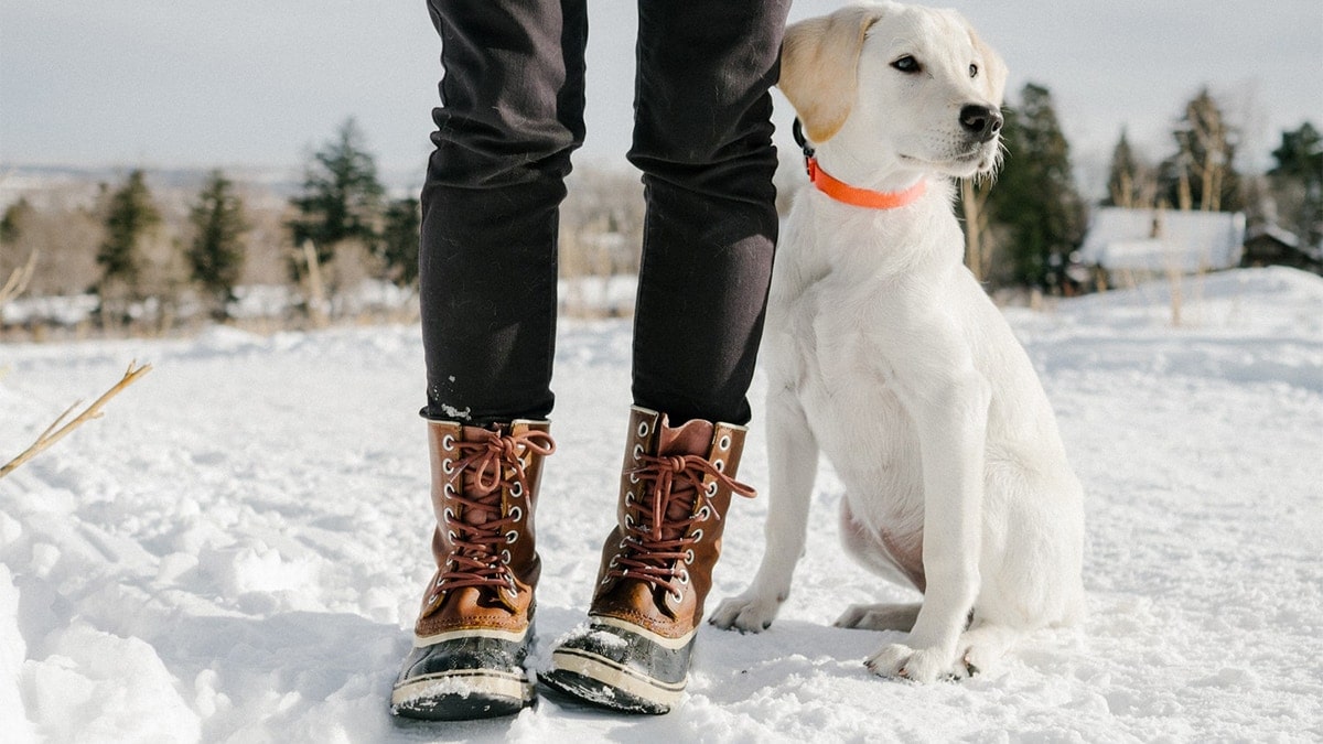 a girl wearing winter boots beside a cute dog in snow