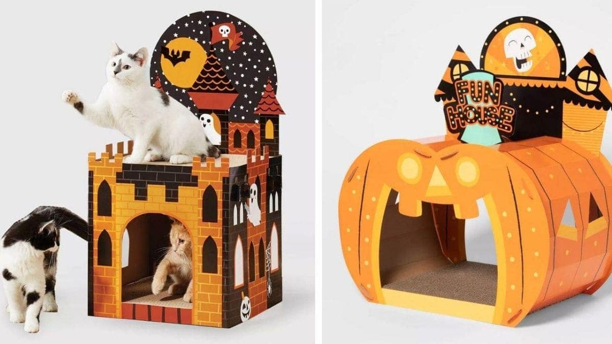 three cats playing in a Halloween themed cat house made of cardboard. on the right hand side a cardboard cat house in pumpkin shape.