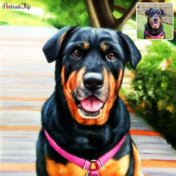 dog oil painting portrait