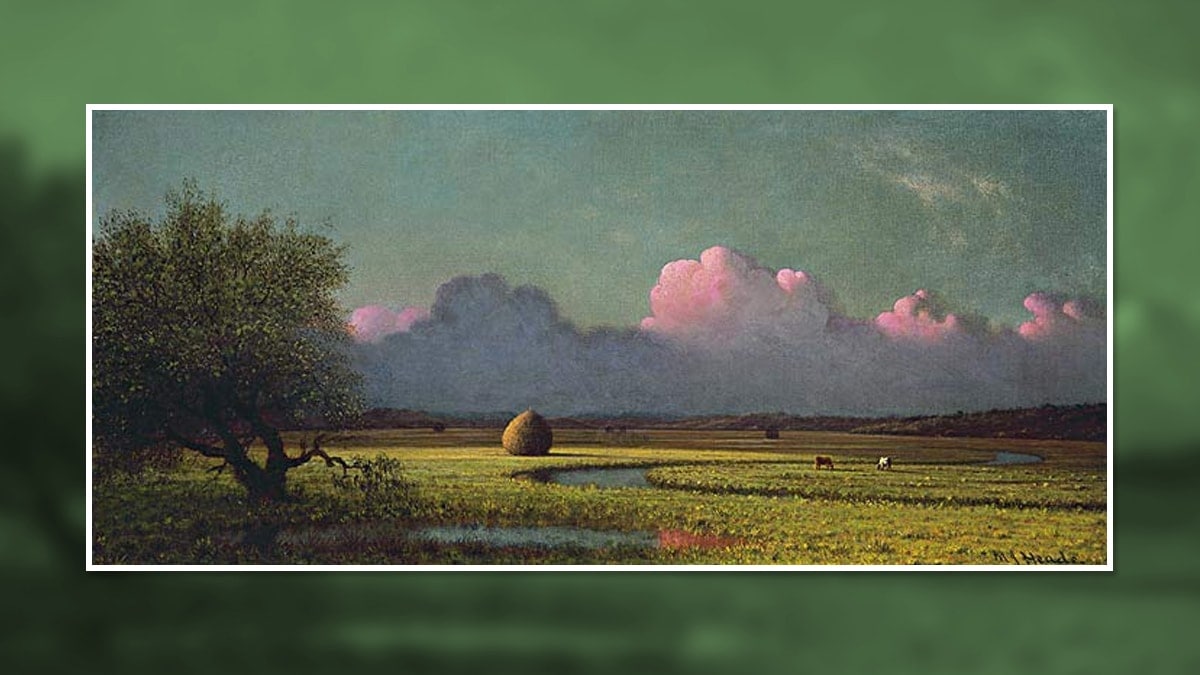 Sunlight and Shadow: The Newbury Marshes by Martin Johnson Heade