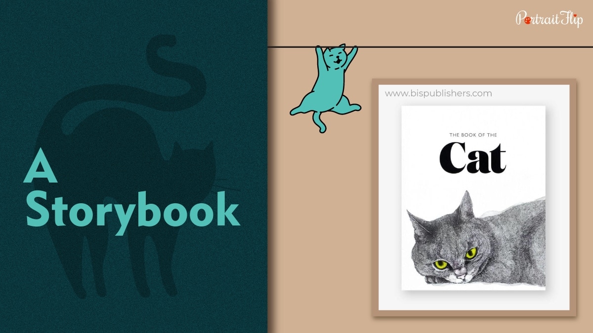 cat storybook