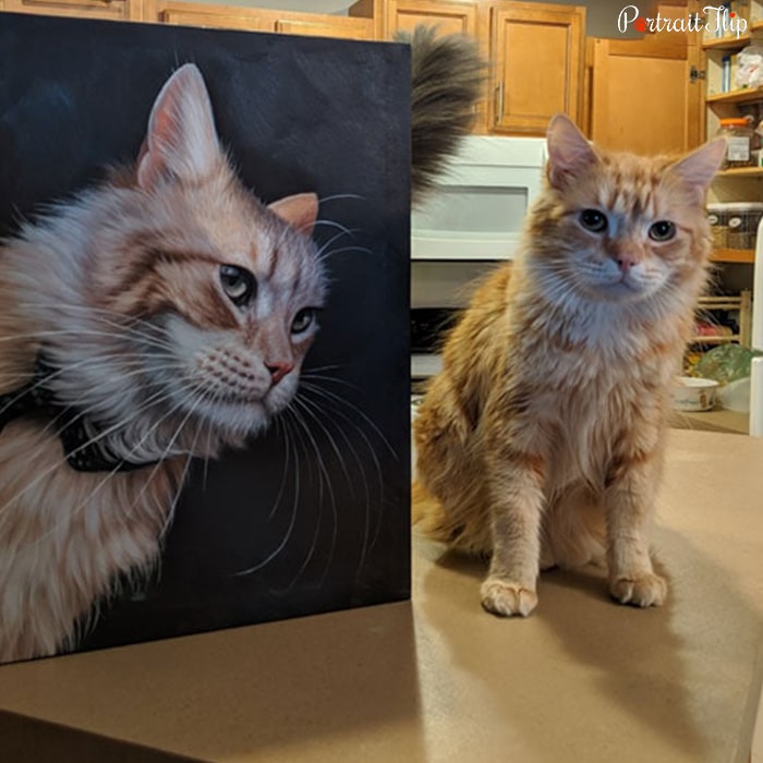 cat with her portrait