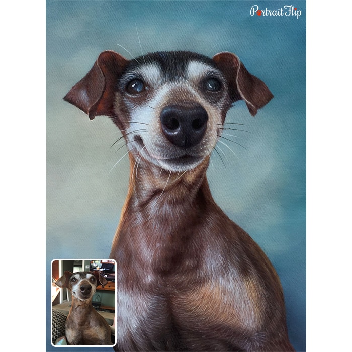 cute dog oil painting