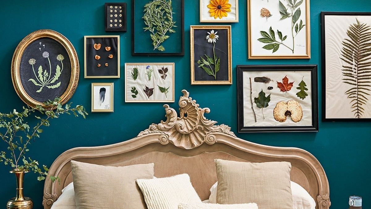 botanical prints displayed on a bedroom wall as a wall décor.