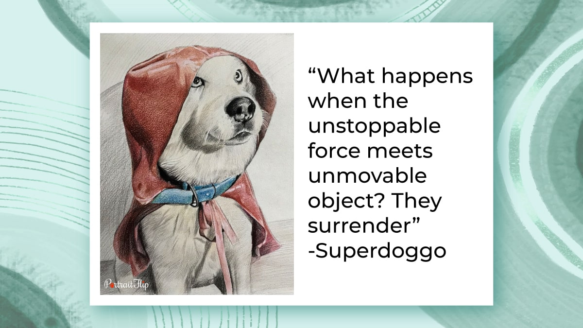 A colored pencil sketch of a dog with a cape that looks like superman's dog. 