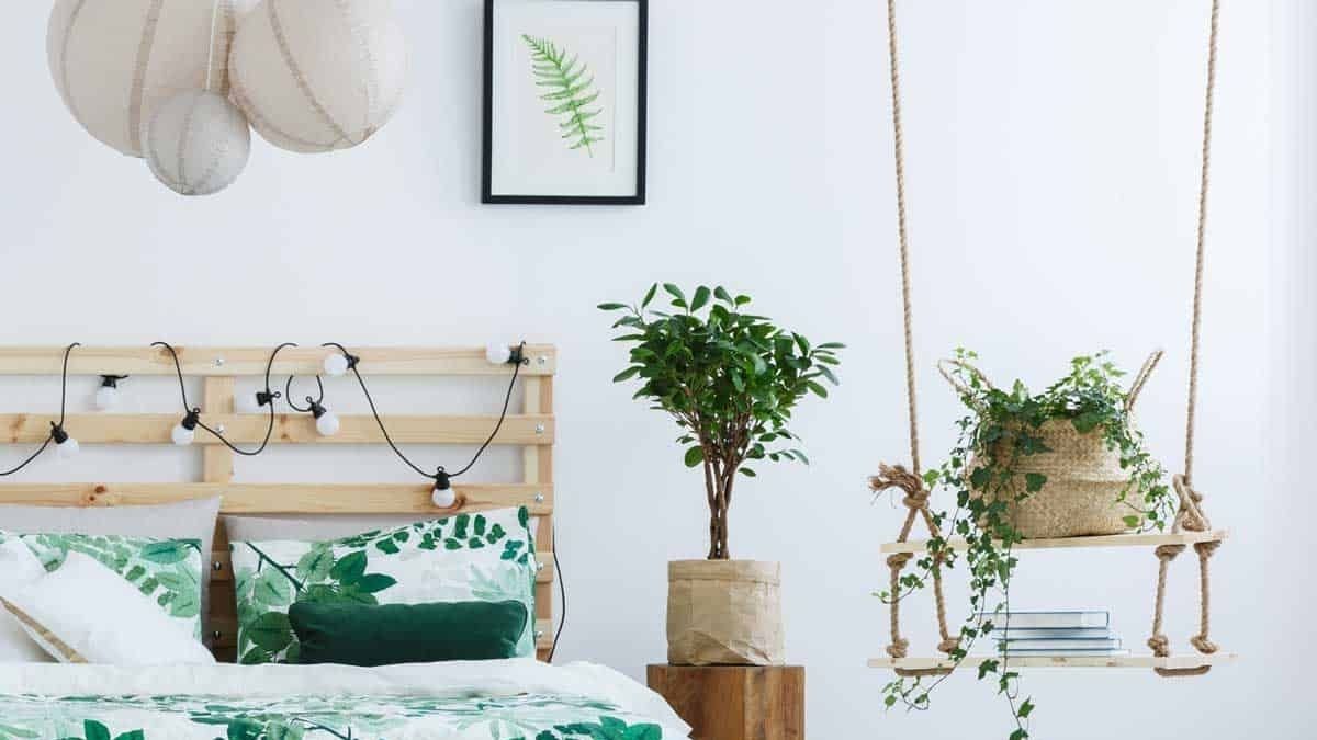 various plants shown hanging from a wall and a plant painting framed on a bedroom wall.