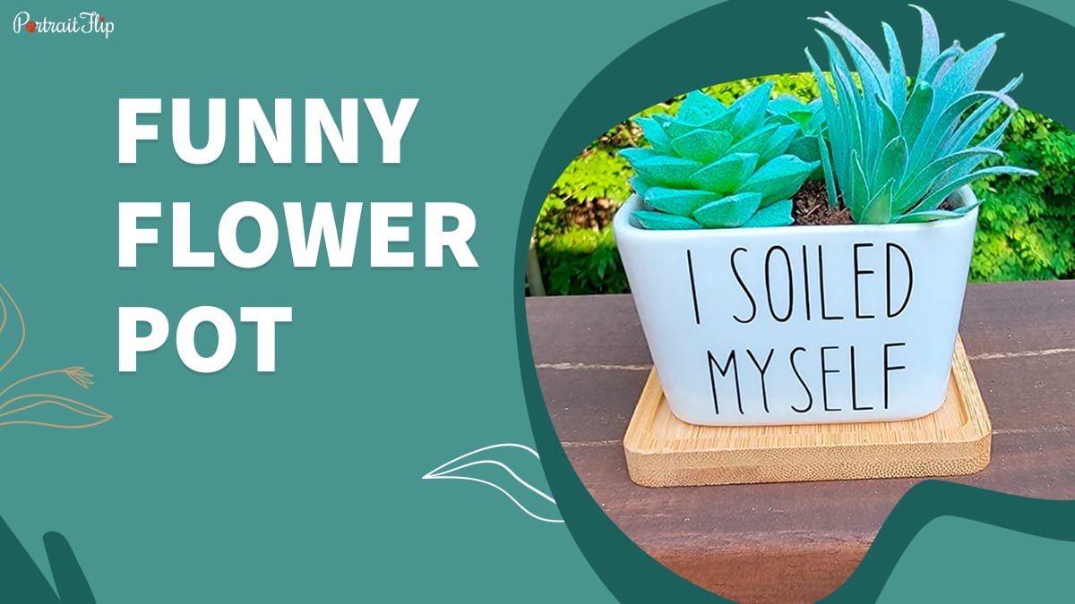 funny flower pot from cotta planters