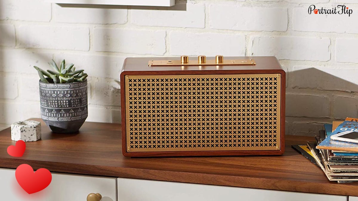 A big brown retro speaker is kept on a table beside books and succulent. 