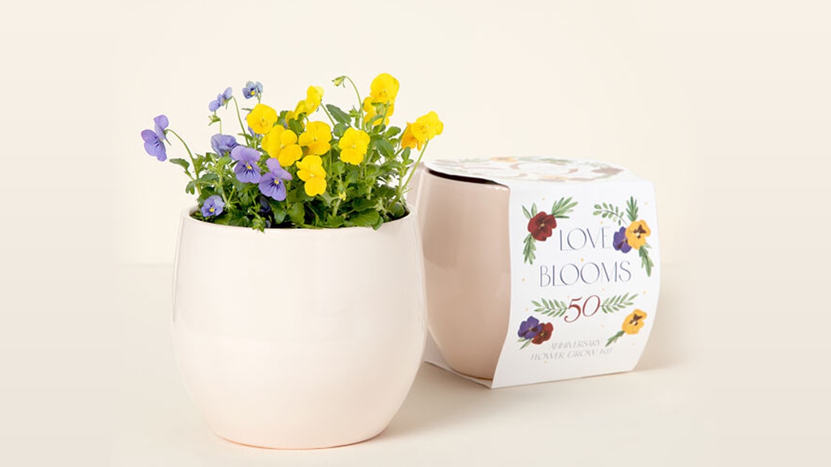 a grown your own self flower kit shown as one of the gifts for long distance relationships.
