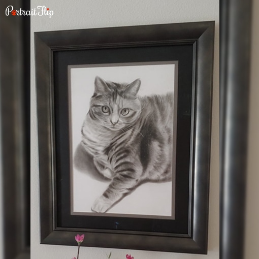 cat pencil portrait