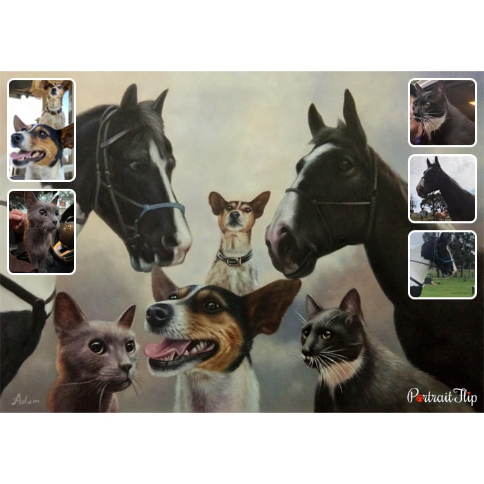 dog and horse compilation portrait