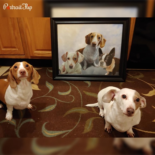 two dogs with their compilation portrait
