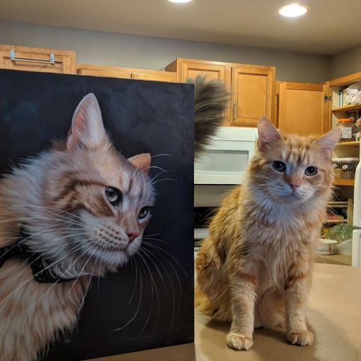 cat with her cat portrait