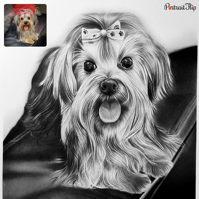 happy dog charcoal drawing