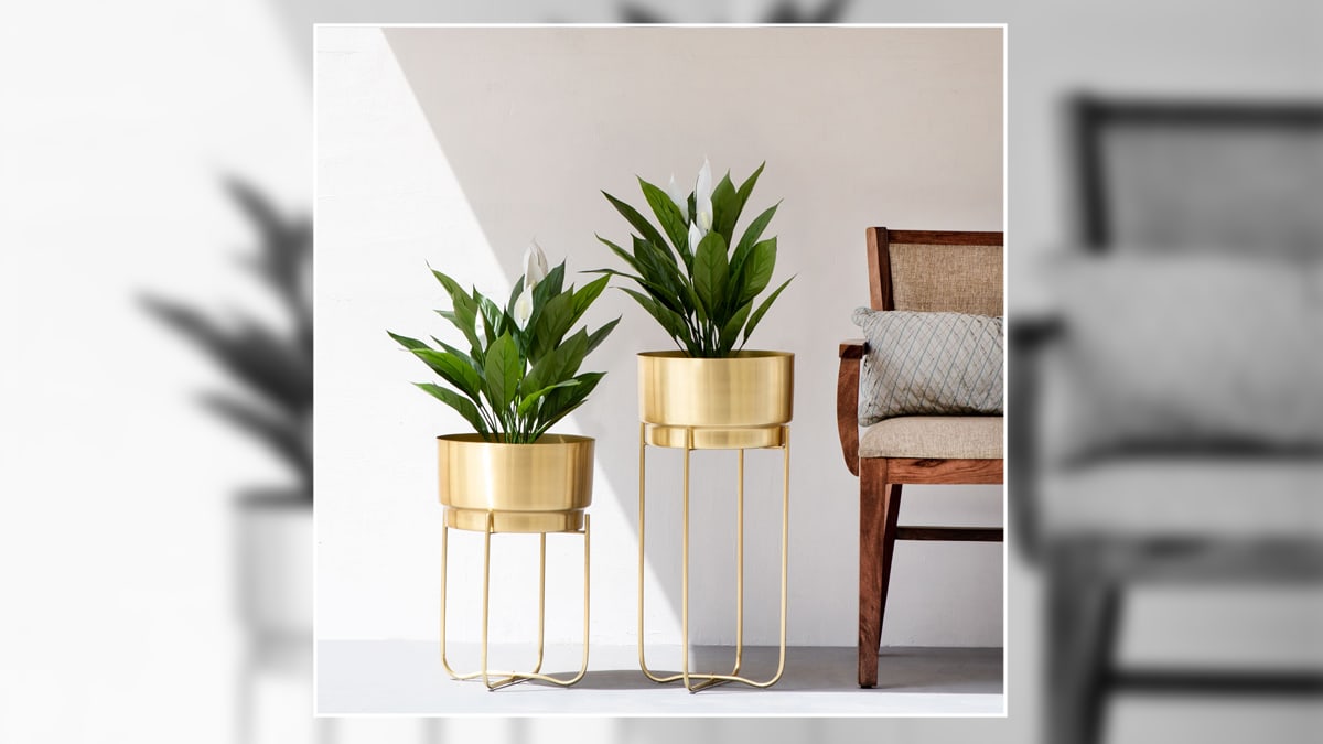 gold painted metallic planters with plants. 