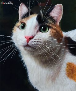 Custom Pet Portraits