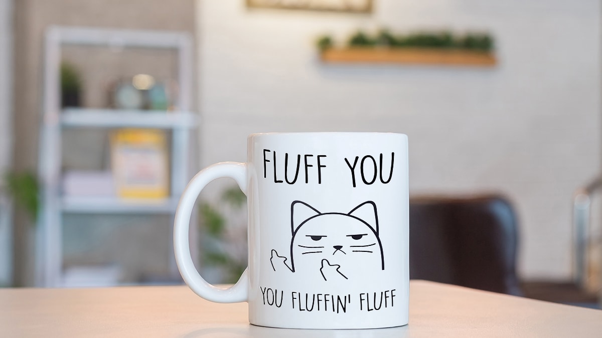A cup that says fluff you you fluffing fluff, a gift for cat lovers.
