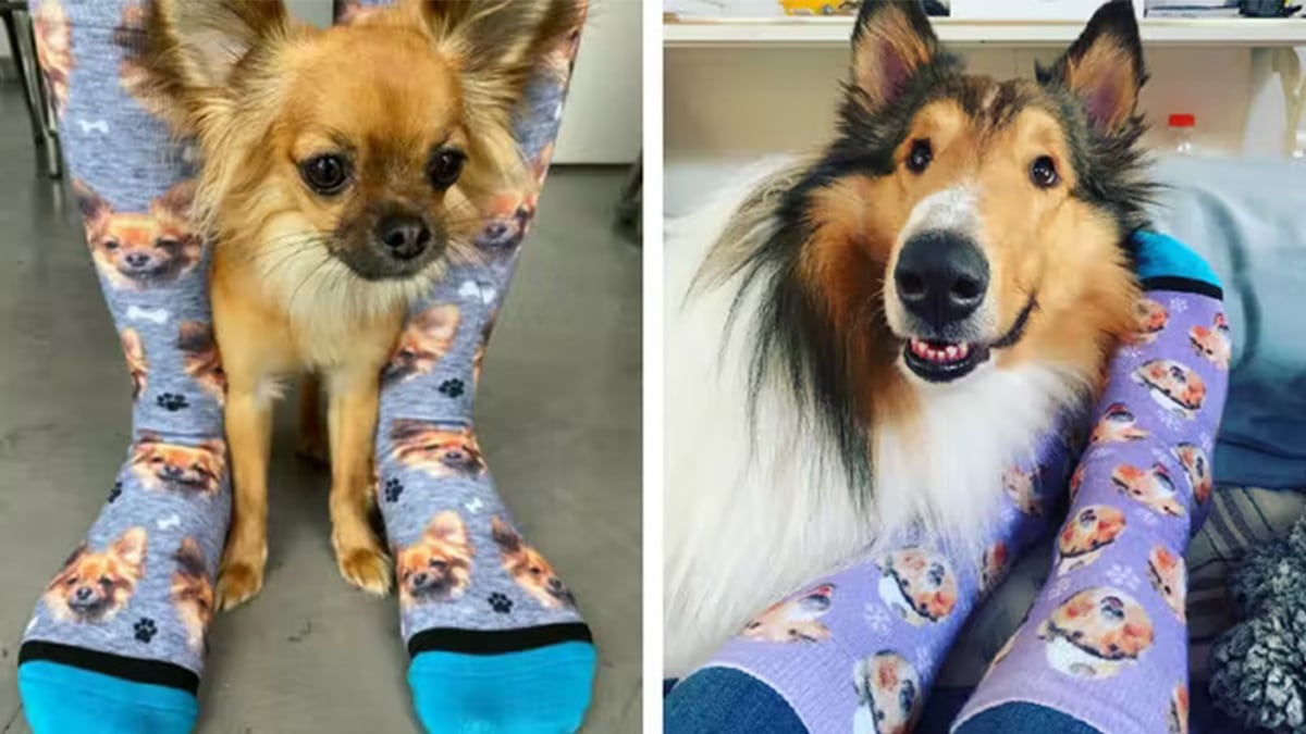Fuzzy customized socks for dog lovers with two dogs and their paw-parents wearing the socks with their face on it. Gifts for dog pet lovers.